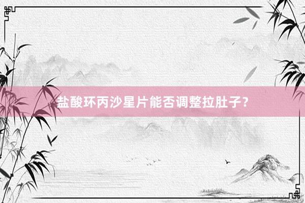 盐酸环丙沙星片能否调整拉肚子？